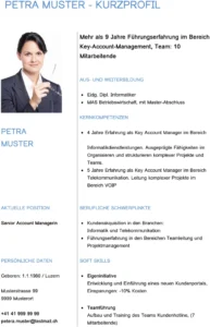 kurzprofil-vorlage-fuer-personal-und-hr-projektmanagement-und-finanzen