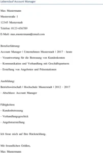 lebenslauf-account-manager-gestalten-mit-der-vorlage