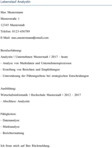 lebenslauf-analystin-muster-vorlage-berufserfahrung-ausbildung