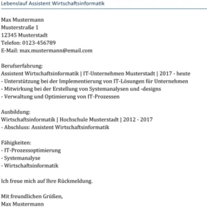 lebenslauf-assistent-wirtschaftsinformatik