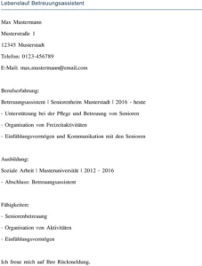 lebenslauf-betreuungsassistent