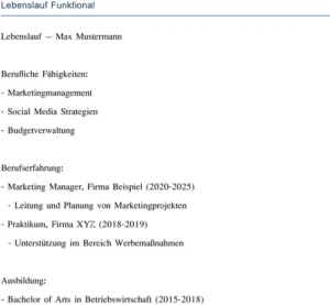 lebenslauf-funktional-marketing-beratung-gestalten