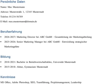 lebenslauf-marketing-personalwesen-word