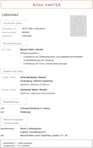lebenslauf-softwareentwicklerin-erstellen-als-word-vorlage