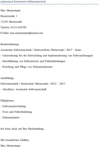 lebenslauf-softwaretechniker-assistent-berufserfahrung-ausbildung-fähigkeiten