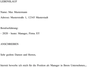 lebenslauf-und-anschreiben-vorlage-fuer-manager