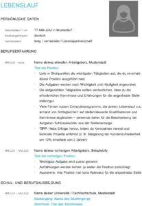 lebenslauf-vorlage-fuer-berufserfahrene