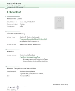 lebenslauf-vorlage-fuer-bewerbung-auf-einen-job