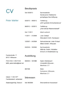 lebenslauf-vorlage-fuer-bewerbungen-im-berufsfeld