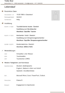 lebenslauf-vorlage-fuer-schule-und-studium