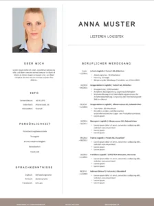 lebenslauf-vorlage-logistik-berufliche-erfahrungen-und-qualifikationen
