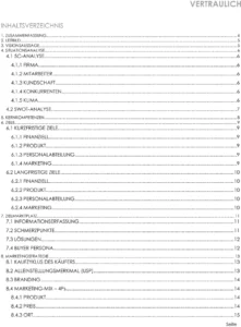 marketingprojektplan-vorlage-startup-unternehmen