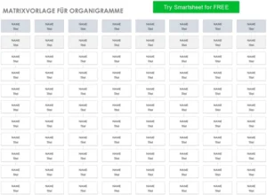matrixvorlage-fuer-organigramme-die-teamorganisation-unterstuetzen