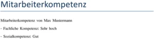 mitarbeiterkompetenz-vorlage-fuer-personal-und-hr