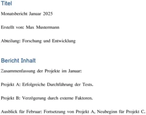 monatsbericht-januar-2025-erstellung-und-ausblick