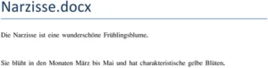 narzisse-ist-eine-wunderschoene-fruehlingsblume