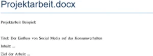 projektarbeit-einfluss-social-media-konsumverhalten