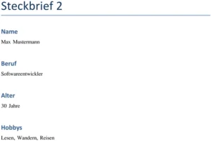 steckbrief-vorlage-softwareentwickler-praesentationen
