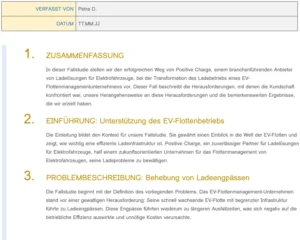 vorlage-fallstudienbericht-marketing-analyse