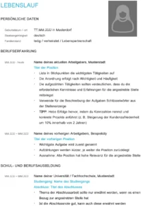 vorlage-fuer-lebenslauf-berufseinsteiger