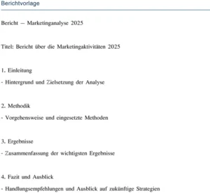 vorlage-fuer-marketinganalyse-2025