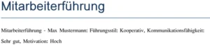 vorlage-zur-mitarbeiterfuehrung-gestalten