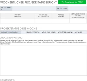 woechentlicher-projektstatusbericht