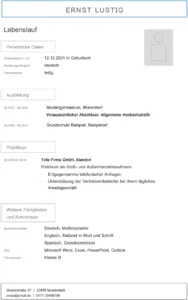 word-lebenslauf-vorlage-fuer-schule-und-studium