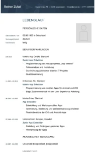 word-lebenslauf-vorlage-fuer-softwareentwickler
