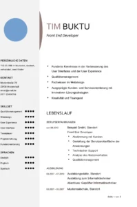 word-lebenslauf-vorlage-fuer-softwareentwickler