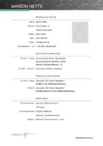 word-lebenslauf-vorlage-fuer-softwareentwickler