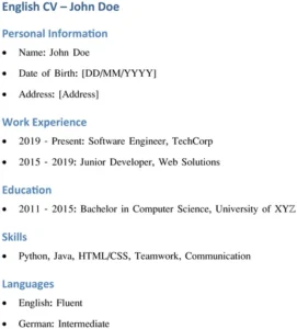word-lebenslauf-vorlage-fuer-softwareentwickler