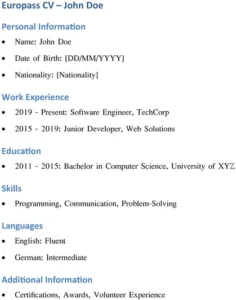 word-lebenslauf-vorlage-fuer-softwareentwickler