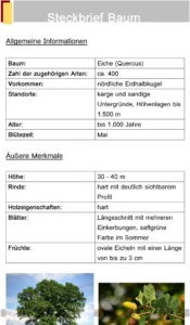 word-vorlage-fuer-freizeitaktivitaeten-und-reisen