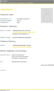 word-vorlage-fuer-lebenslauf-mit-praktikum-und-ausbildung