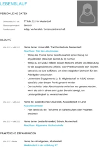 word-vorlage-fuer-lebenslauf-professionelle-bewerbung-fuer-studierende