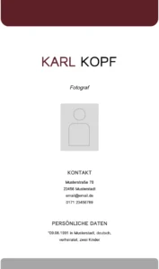 word-vorlage-fuer-persoenliche-finanzen-gesundheit-und-studium