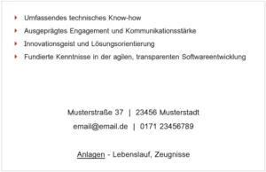 word-vorlage-fuer-professionelle-bewerbungen-softwareentwickler