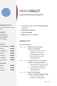 word-vorlage-lebenslauf-fuer-studenten-und-berufseinsteiger