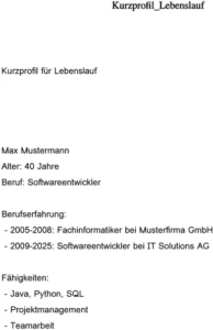 word-vorlage-lebenslauf-softwareentwickler