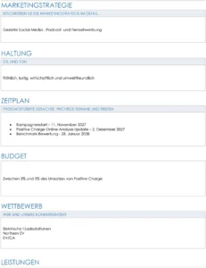 word-vorlage-marketingbriefing-fuer-elektrofahrzeuge