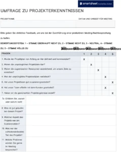 word-vorlage-zur-umfrage-ueber-projekterkenntnisse