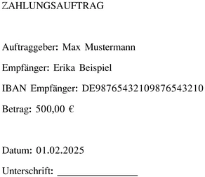 word-zahlungsauftrag-vorlage-fuer-professionelle-zahlungen
